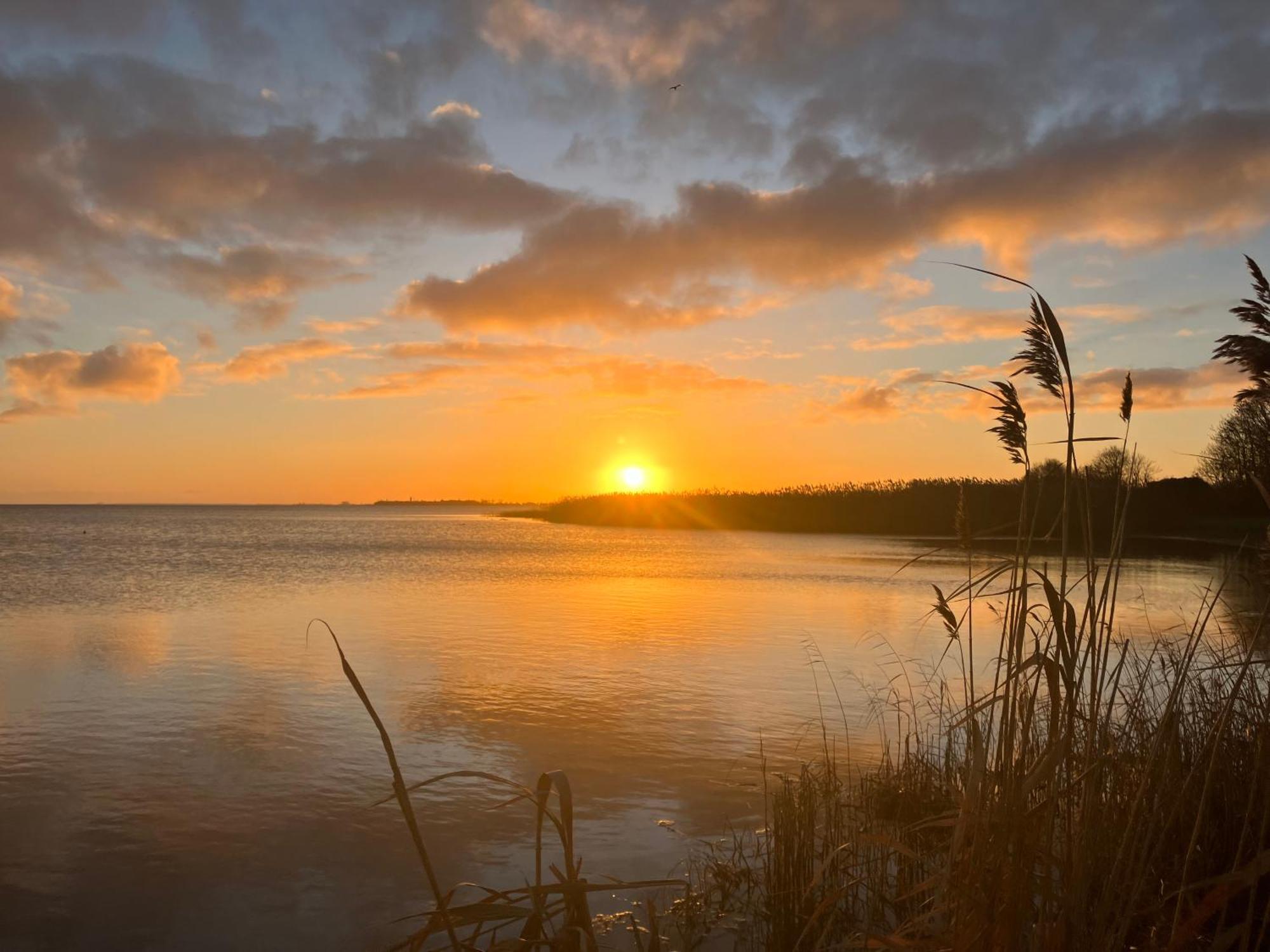 Grosse 4 Sterne Ferienwohnung Beim Boddenstrand Sundhagen-Niederhof Dış mekan fotoğraf